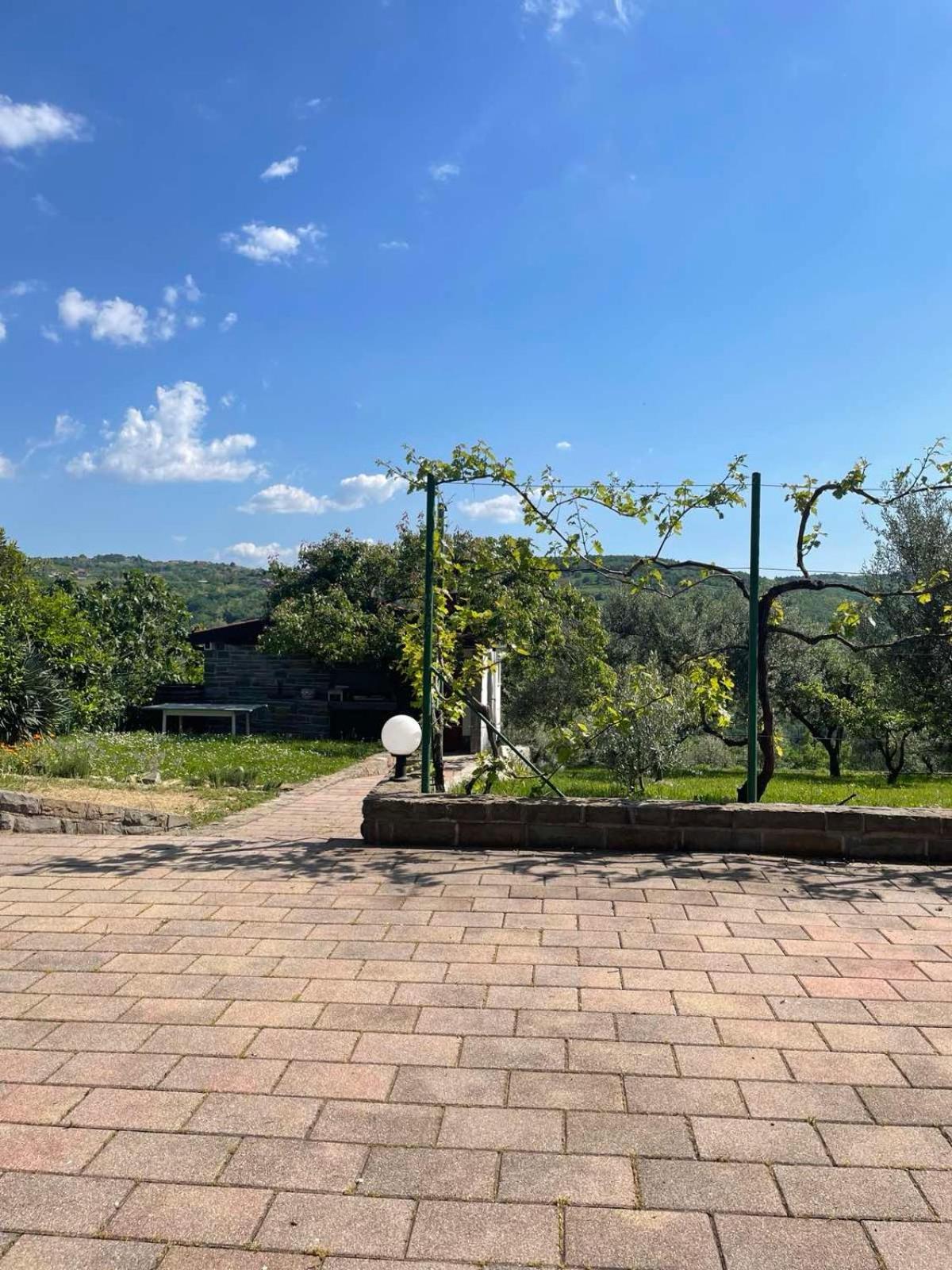 Olea Mar Apartma Pobegi ภายนอก รูปภาพ